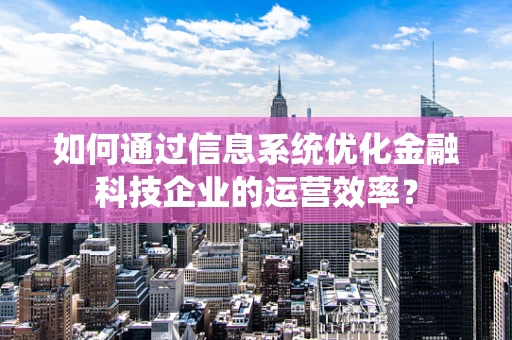 如何通过信息系统优化金融科技企业的运营效率？