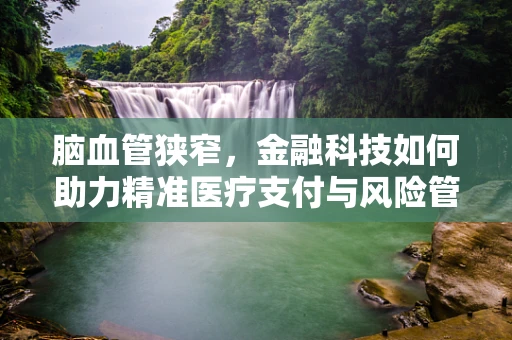脑血管狭窄，金融科技如何助力精准医疗支付与风险管理？