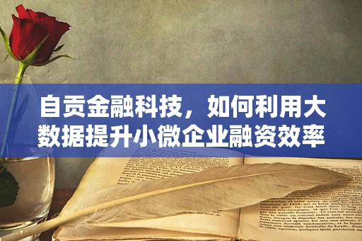 自贡金融科技，如何利用大数据提升小微企业融资效率？