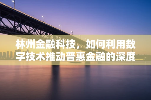 林州金融科技，如何利用数字技术推动普惠金融的深度发展？