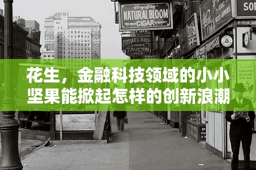 花生，金融科技领域的小小坚果能掀起怎样的创新浪潮？