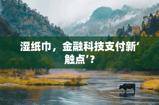 湿纸巾，金融科技支付新‘触点’？