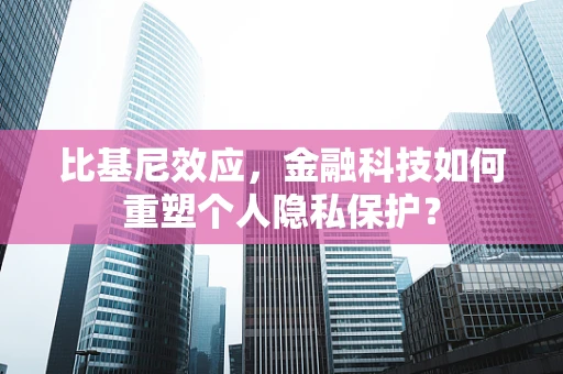 比基尼效应，金融科技如何重塑个人隐私保护？