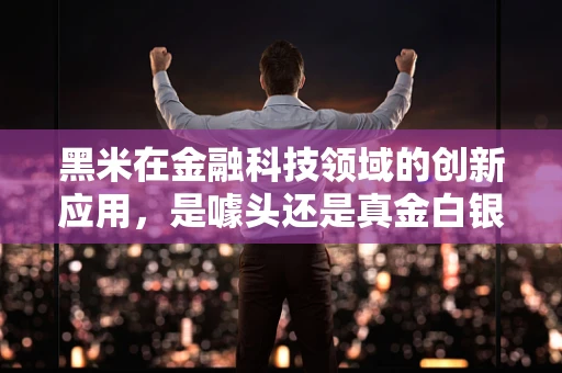 黑米在金融科技领域的创新应用，是噱头还是真金白银的机遇？