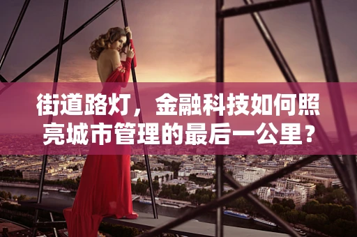 街道路灯，金融科技如何照亮城市管理的最后一公里？