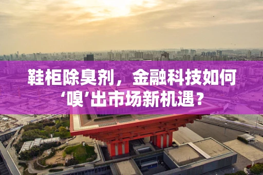 鞋柜除臭剂，金融科技如何‘嗅’出市场新机遇？