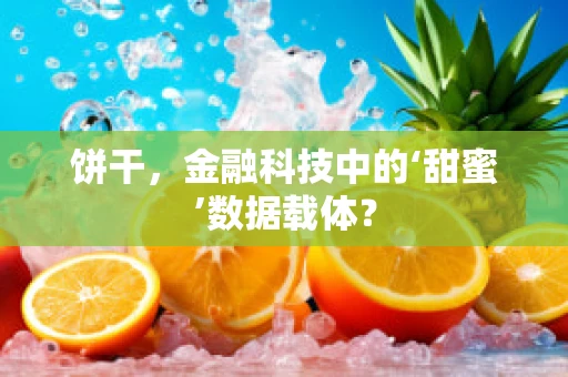 饼干，金融科技中的‘甜蜜’数据载体？