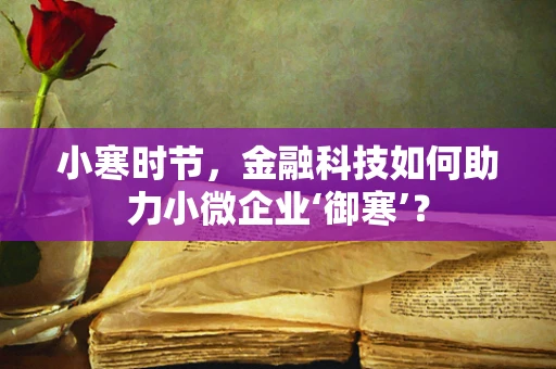 小寒时节，金融科技如何助力小微企业‘御寒’？