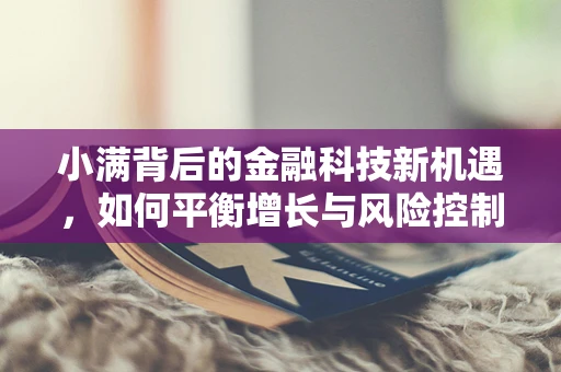 小满背后的金融科技新机遇，如何平衡增长与风险控制？