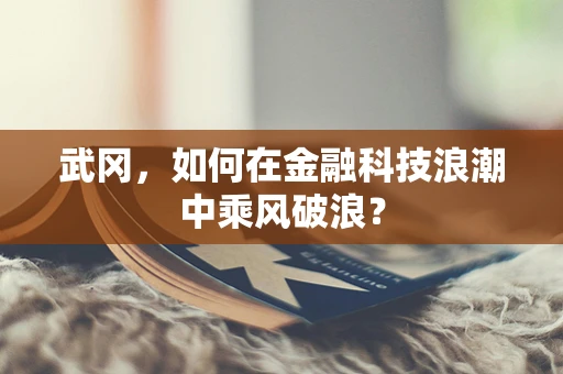 武冈，如何在金融科技浪潮中乘风破浪？