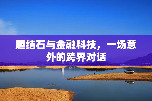 胆结石与金融科技，一场意外的跨界对话