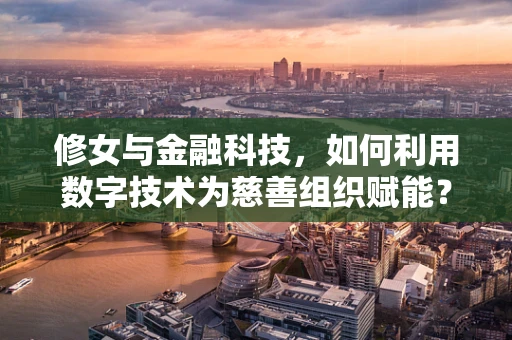 修女与金融科技，如何利用数字技术为慈善组织赋能？