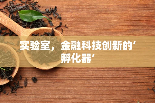 实验室，金融科技创新的‘孵化器’
