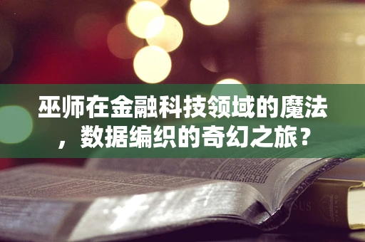 巫师在金融科技领域的魔法，数据编织的奇幻之旅？