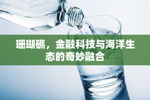 珊瑚礁，金融科技与海洋生态的奇妙融合