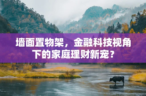 墙面置物架，金融科技视角下的家庭理财新宠？