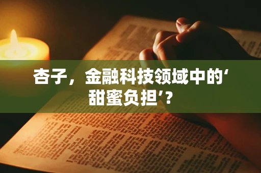 杏子，金融科技领域中的‘甜蜜负担’？
