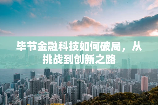 毕节金融科技如何破局，从挑战到创新之路