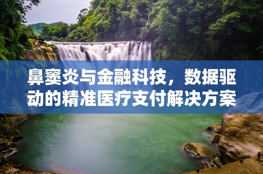 鼻窦炎与金融科技，数据驱动的精准医疗支付解决方案