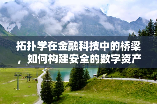 拓扑学在金融科技中的桥梁，如何构建安全的数字资产交易网络？