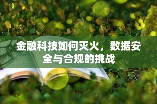 金融科技如何灭火，数据安全与合规的挑战